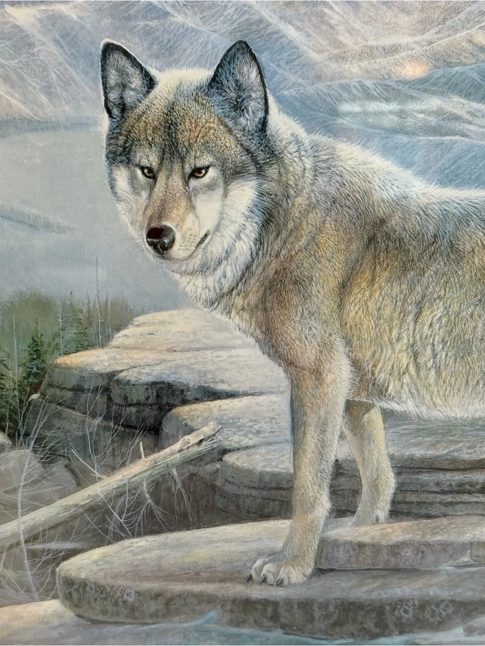 Ruane Manning striking wolf
